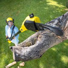 Best Lawn Grading and Leveling  in Seffner, FL